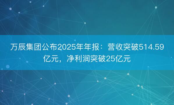 万辰集团公布2025年年报：营收突破514.59亿元，净利润突破25亿元