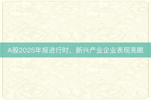 A股2025年报进行时，新兴产业企业表现亮眼