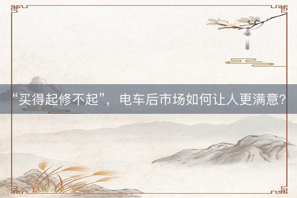 “买得起修不起”，电车后市场如何让人更满意？