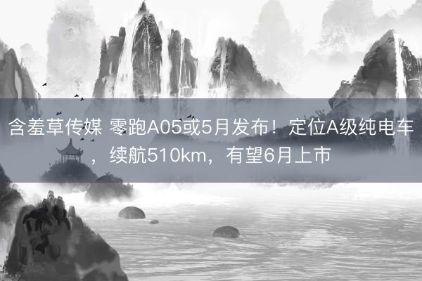 含羞草传媒 零跑A05或5月发布！定位A级纯电车，续航510km，有望6月上市