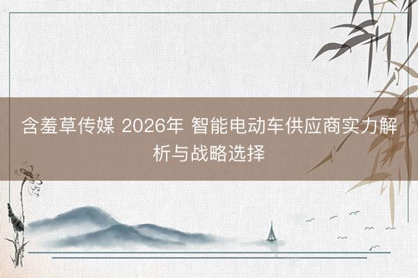 含羞草传媒 2026年 智能电动车供应商实力解析与战略选择