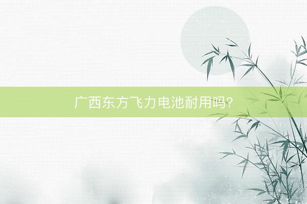 广西东方飞力电池耐用吗？