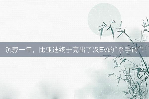 沉寂一年，比亚迪终于亮出了汉EV的“杀手锏”！