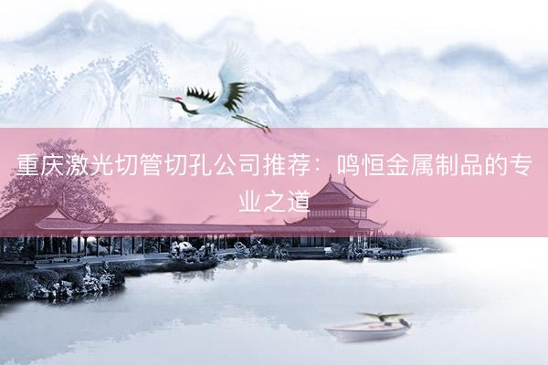 重庆激光切管切孔公司推荐：鸣恒金属制品的专业之道