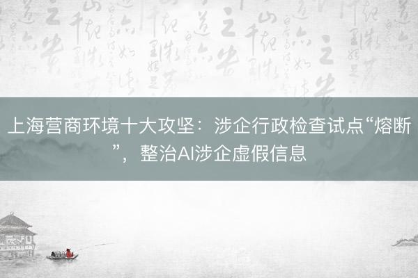 上海营商环境十大攻坚：涉企行政检查试点“熔断”，整治AI涉企虚假信息