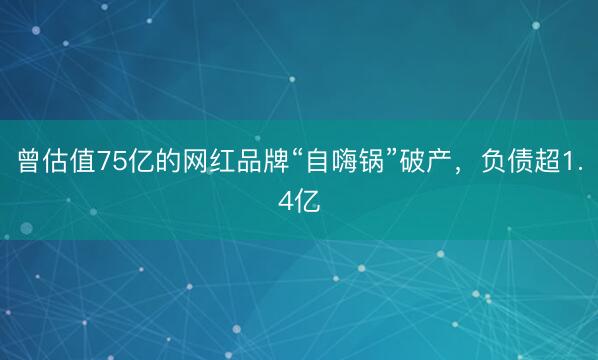 曾估值75亿的网红品牌“自嗨锅”破产，负债超1.4亿