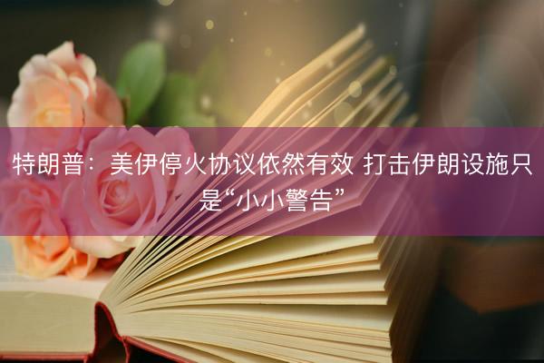 特朗普：美伊停火协议依然有效 打击伊朗设施只是“小小警告”