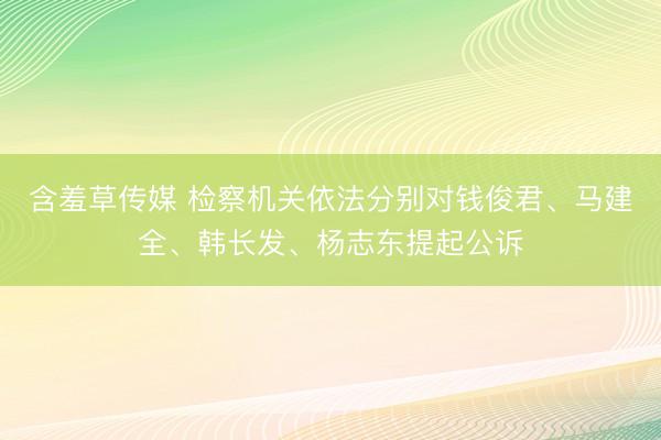 含羞草传媒 检察机关依法分别对钱俊君、马建全、韩长发、杨志东提起公诉