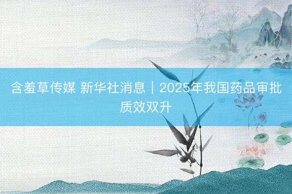 含羞草传媒 新华社消息｜2025年我国药品审批质效双升
