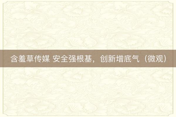 含羞草传媒 安全强根基，创新增底气（微观）