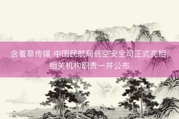 含羞草传媒 中国民航局低空安全司正式亮相，相关机构职责一并公布