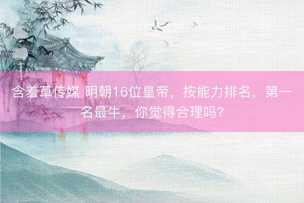 含羞草传媒 明朝16位皇帝，按能力排名，第一名最牛，你觉得合理吗？