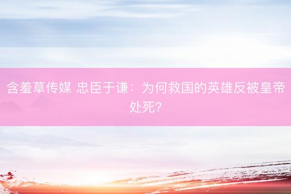 含羞草传媒 忠臣于谦：为何救国的英雄反被皇帝处死？