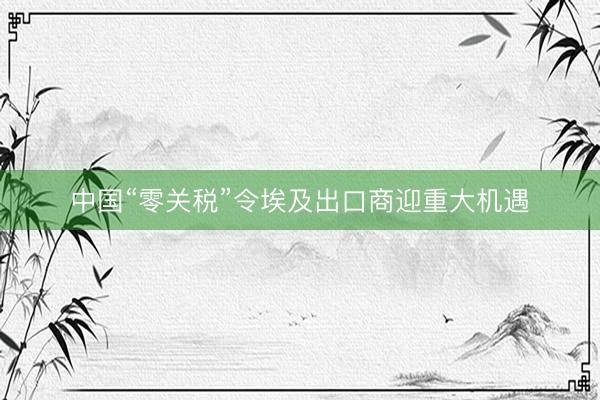 中国“零关税”令埃及出口商迎重大机遇