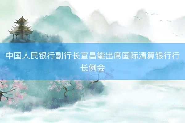 中国人民银行副行长宣昌能出席国际清算银行行长例会