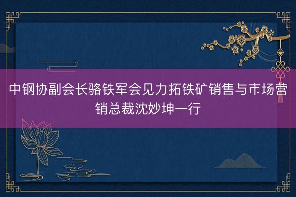 中钢协副会长骆铁军会见力拓铁矿销售与市场营销总裁沈妙坤一行