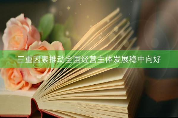 三重因素推动全国经营主体发展稳中向好