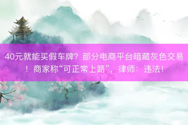 40元就能买假车牌？部分电商平台暗藏灰色交易！商家称“可正常上路”，律师：违法！