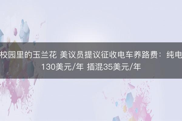 校园里的玉兰花 美议员提议征收电车养路费：纯电130美元/年 插混35美元/年