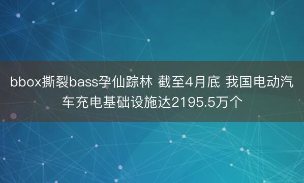 bbox撕裂bass孕仙踪林 截至4月底 我国电动汽车充电基础设施达2195.5万个