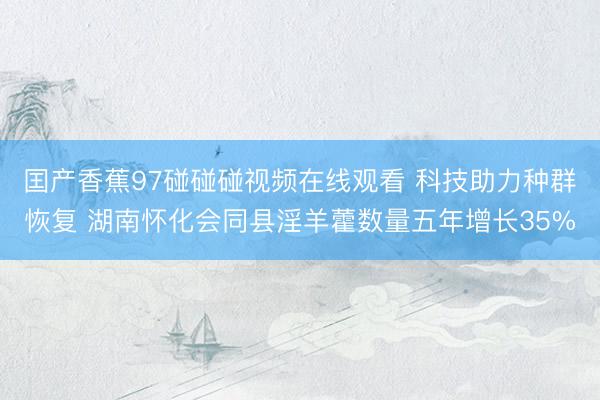 囯产香蕉97碰碰碰视频在线观看 科技助力种群恢复 湖南怀化会同县淫羊藿数量五年增长35%