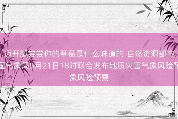 迈开腿尝尝你的草莓是什么味道的 自然资源部与中国气象局5月21日18时联合发布地质灾害气象风险预警