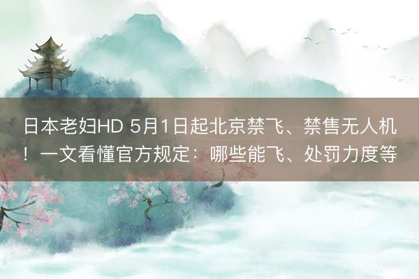 日本老妇HD 5月1日起北京禁飞、禁售无人机！一文看懂官方规定：哪些能飞、处罚力度等