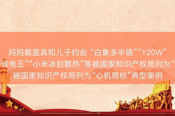 妈妈戴面具和儿子约会 “白象多半袋”“120W”“TCL净省电”“美的省电王”“小米冰封散热”等被国家知识产权局列为“心机商标”典型案例