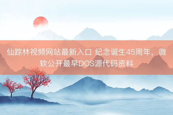 仙踪林视频网站最新入口 纪念诞生45周年，微软公开最早DOS源代码资料