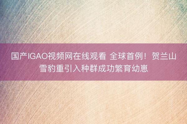 国产IGAO视频网在线观看 全球首例！贺兰山雪豹重引入种群成功繁育幼崽