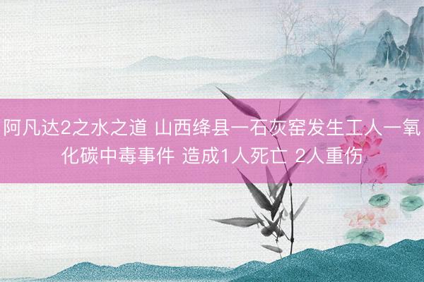 阿凡达2之水之道 山西绛县一石灰窑发生工人一氧化碳中毒事件 造成1人死亡 2人重伤