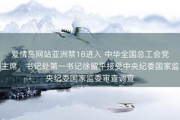 爱情岛网站亚洲禁18进入 中华全国总工会党组书记、副主席、书记处第一书记徐留平接受中央纪委国家监委审查调查