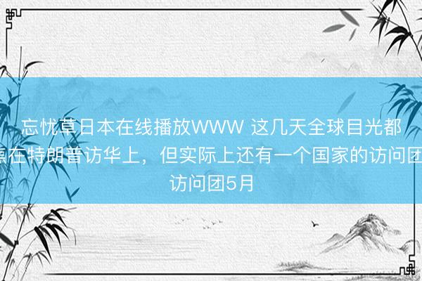 忘忧草日本在线播放WWW 这几天全球目光都聚焦在特朗普访华上,但实际上还有一个国家的访问团5月