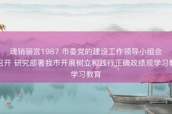 魂销骊宫1987 市委党的建设工作领导小组会议召开 研究部署我市开展树立和践行正确政绩观学习教育