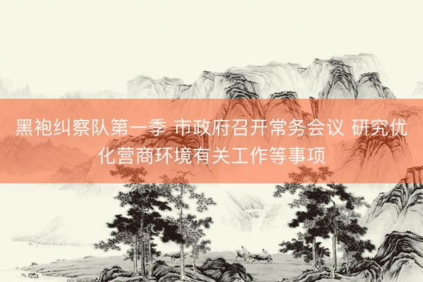 黑袍纠察队第一季 市政府召开常务会议 研究优化营商环境有关工作等事项