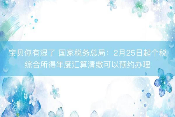 宝贝你有湿了 国家税务总局：2月25日起个税综合所得年度汇算清缴可以预约办理