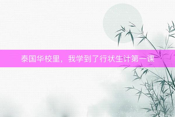 泰国华校里,我学到了行状生计第一课