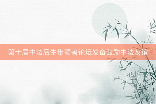 第十届中法后生带领者论坛发奋鼓励中法友谊