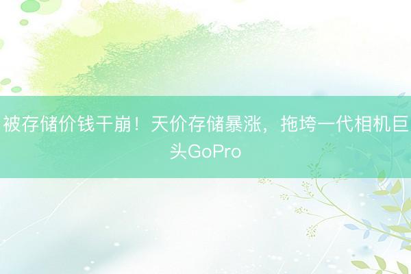 被存储价钱干崩！天价存储暴涨，拖垮一代相机巨头GoPro