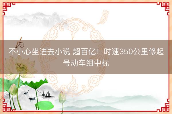 不小心坐进去小说 超百亿！时速350公里修起号动车组中标