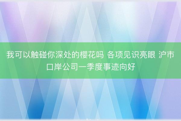 我可以触碰你深处的樱花吗 各项见识亮眼 沪市口岸公司一季度事迹向好