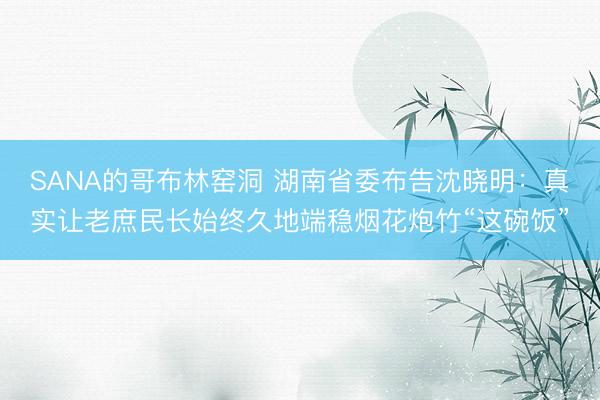 SANA的哥布林窑洞 湖南省委布告沈晓明：真实让老庶民长始终久地端稳烟花炮竹“这碗饭”