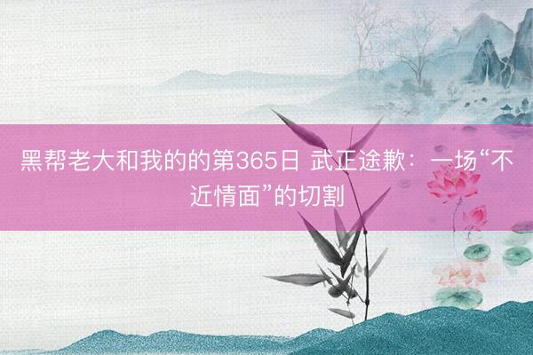 黑帮老大和我的的第365日 武正途歉：一场“不近情面”的切割