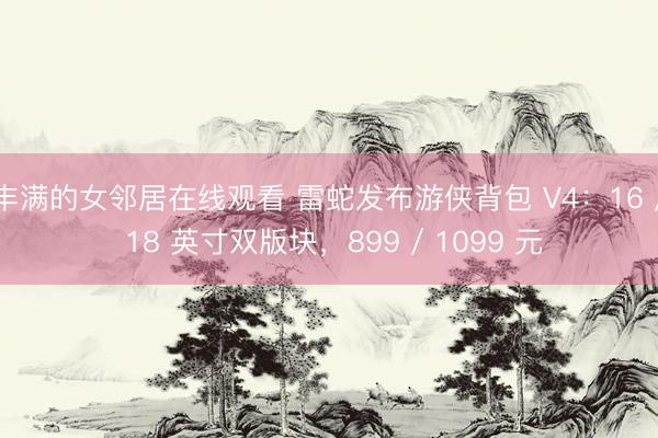 丰满的女邻居在线观看 雷蛇发布游侠背包 V4：16 / 18 英寸双版块，899 / 1099 元
