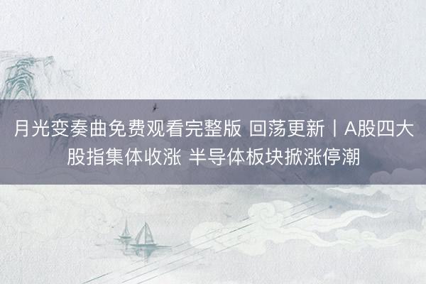 月光变奏曲免费观看完整版 回荡更新丨A股四大股指集体收涨 半导体板块掀涨停潮