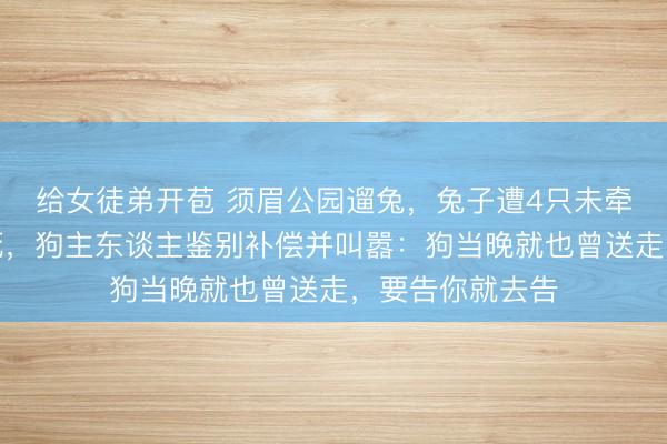 给女徒弟开苞 须眉公园遛兔，兔子遭4只未牵绳犬只围攻致死，狗主东谈主鉴别补偿并叫嚣：狗当晚就也曾送走，要告你就去告