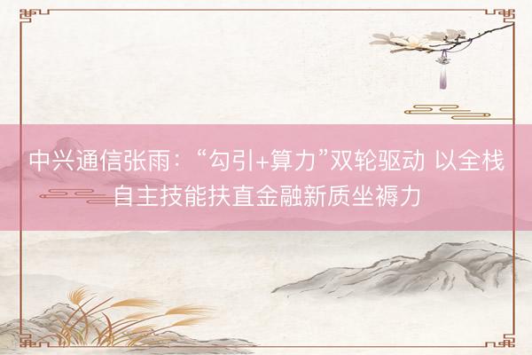 中兴通信张雨：“勾引+算力”双轮驱动 以全栈自主技能扶直金融新质坐褥力